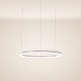 s.luce LED-pendellampa med ring Ø 60 cm