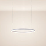 s.luce Candeeiro suspenso de anel LED Ø 60cm