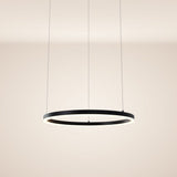 LED ring hanging light Ø 60cm