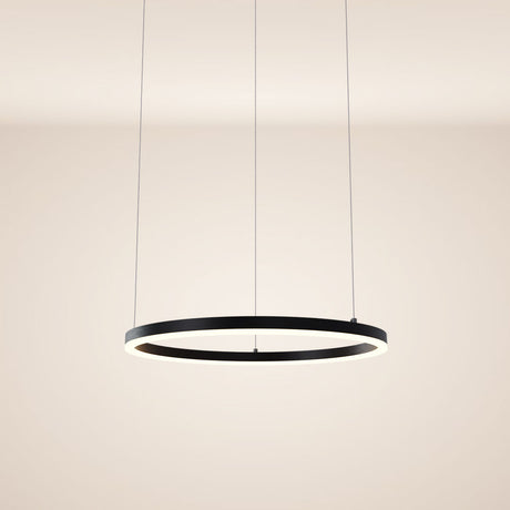 s.luce LED Ring Lampe à suspendre Ø 60cm