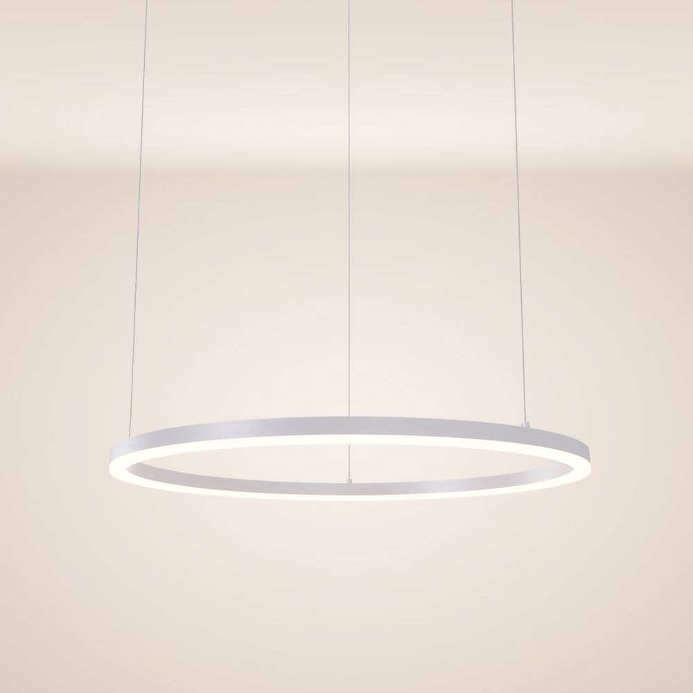 Ring 80 LED pendant lamp direct 5m