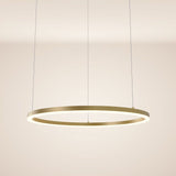 Ring 80 LED pendant lamp direct 5m