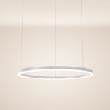 s.luce LED ring hanging lamp Ø 80cm