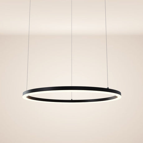 s.luce LED Ring Lampe à suspendre Ø 80cm