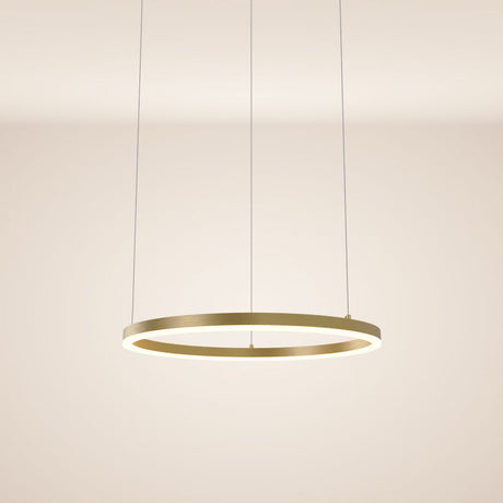 s.luce Ring Hängeleuchte Direkt  s.luce 500cm Gold 60cm