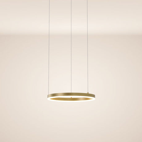 s.luce Ring Hängeleuchte Direkt  s.luce 500cm Gold 40cm