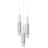 Crutch pendant light combo