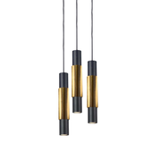 Crutch pendant light combo