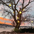 s.luce Globe Hängeleuchten am Baum im Dämmerlicht, ideal für Innen- und Außenbereiche, schaffen eine einladende Atmosphäre.