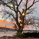 s.luce Globe Hängeleuchten am Baum im Dämmerlicht, ideal für Innen- und Außenbereiche, schaffen eine einladende Atmosphäre.