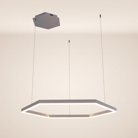 Hexa Ø 80cm LED hanging lamp direct or indirect