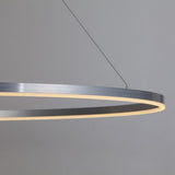 Ring 80 LED pendant lamp direct 5m