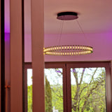 s.luce Atom Ring LED hanglamp Dimbaar