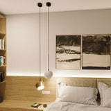 Ball pendant lamp interchangeable shade