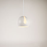 Ball pendant lamp interchangeable shade