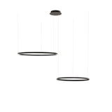 LED 2-Ring Hanging Lamps Combination Eccentric