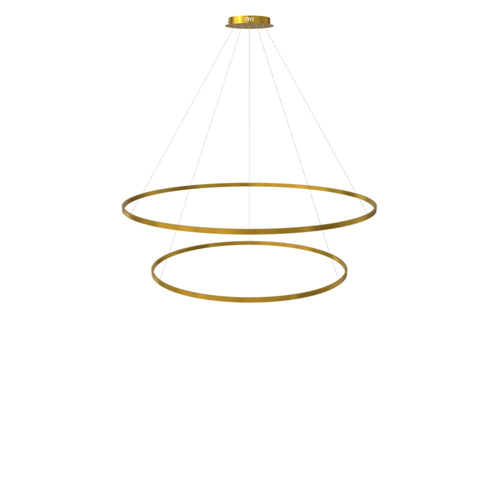 LED 2-ring hanging lights combination centric