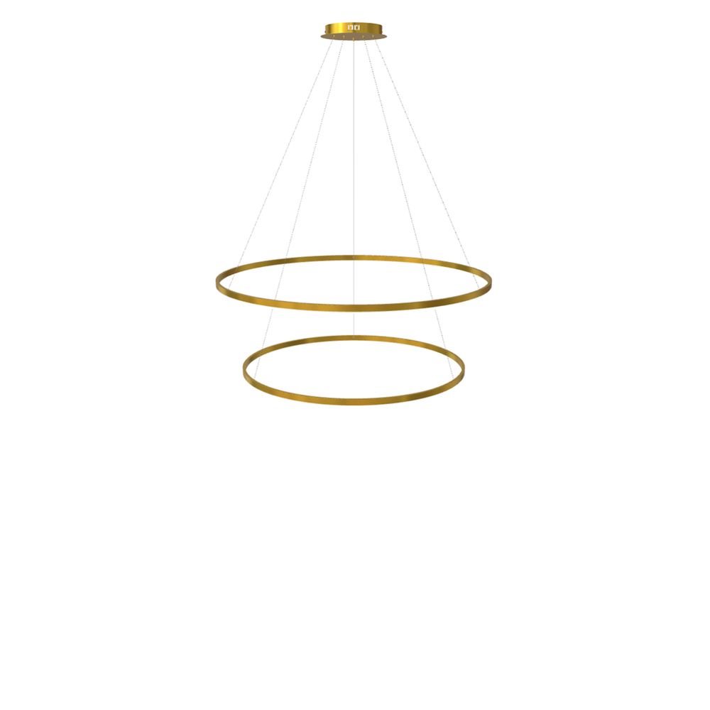 LED 2-ring hanging lights combination centric