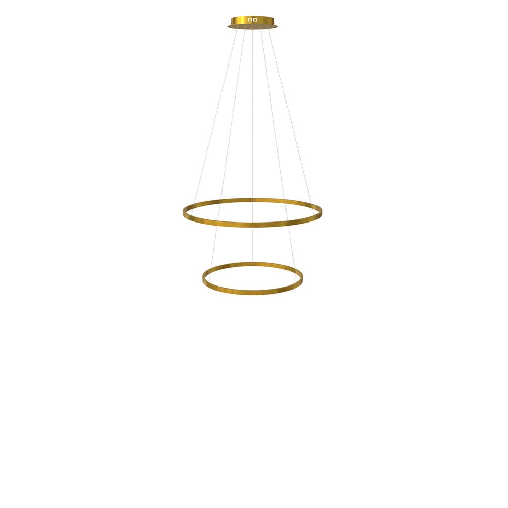 LED 2-ring hanging lights combination centric