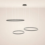 s.luce LED Suspension Ring 3 lumières Exzentrisch au design élégant avec trois anneaux suspendus