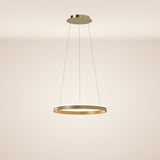 s.luce LED ring pendant light round direct or indirect