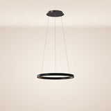 s.luce LED ring pendant light round direct or indirect