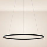 s.luce LED ring pendant light round direct or indirect