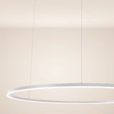 s.luce LED ring pendant light round direct or indirect