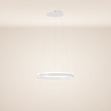 s.luce LED ring pendant light round direct or indirect