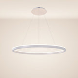 s.luce LED ring pendant light round direct or indirect