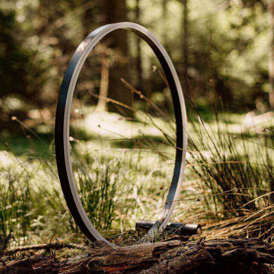 Minimalistischer schwarzer Ring im Wald, umgeben von grünen Pflanzen und Sonnenlicht.