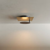 Piastra di lampada a parete e soffitto a LED