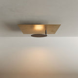 s.luce Candeeiro de parede e de teto LED Plate