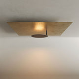 s.luce Lampada da parete e da soffitto a LED Piastra