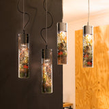 Mylight Hang Lamp with a show cilindro 40 cm