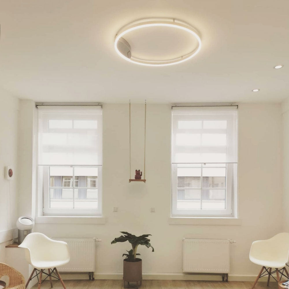 LED Ring Wall Lamp &amp; Ceiling Light Dimmable Modern Round