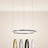 Ring 60 LED hanging light Direct 5m