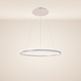 s.luce LED ring pendant light round direct or indirect