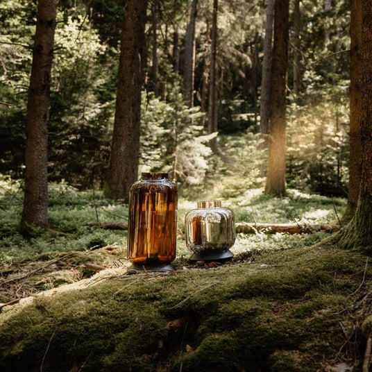 s.luce Velo Glas-Tischleuchte mit Schalter in einem Wald zwischen Bäumen, auf Moos präsentiert.