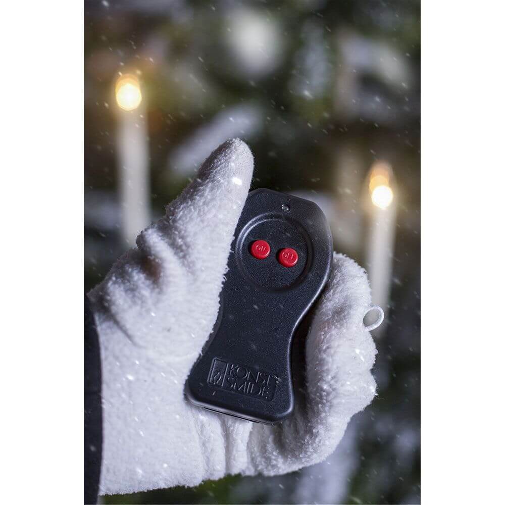 LED Baumbeleuchtung 10 Kerzen Fernbedienung Warmweiße batteriebetrieben IP44 mit Handsteuerung in der Winterlandschaft